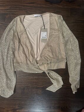 Shimmery Taupe Tie-Front Blouse